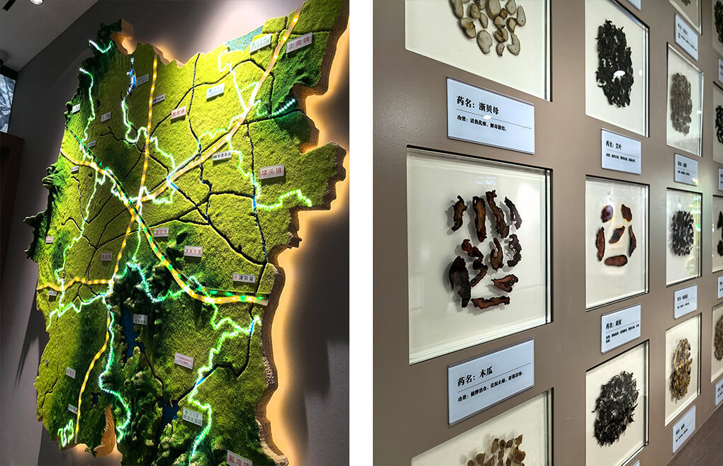 中醫(yī)院院史館標(biāo)識(shí)